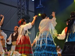 Festival de Folkore en Mula